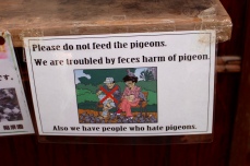 This pigeon sign...LAUGHED OUT LOUD.